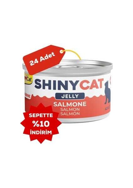 Shinycat Jelly Somon Balıklı Kedi Konservesi 70GR 24LÜ