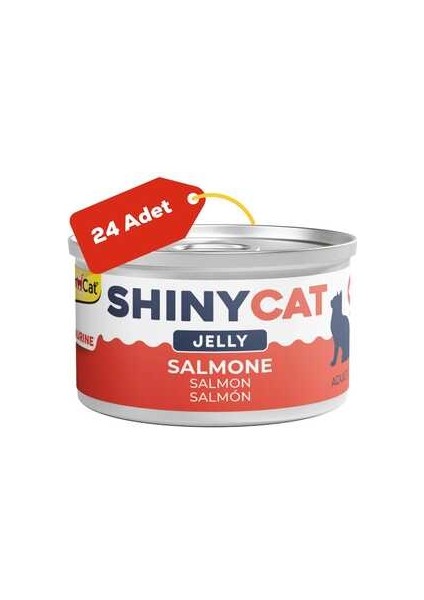 Shinycat Jelly Somon Balıklı Kedi Konservesi 70GR 24LÜ fiyatları