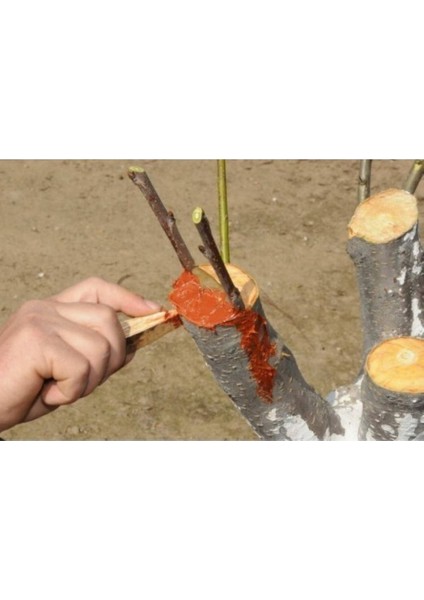 Pro-Vip Aşı ve Budama Macunu 250 gr fiyatları