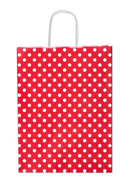 Puantiyeli Burgu Saplı Kağıt Çanta 25 Adet