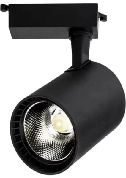Ekim Aydınlatma 30 W Ray Spot Armatürü Siyah Kasa Soğuk Beyaz 4000K (Ray Dahil Değildir) Zmr