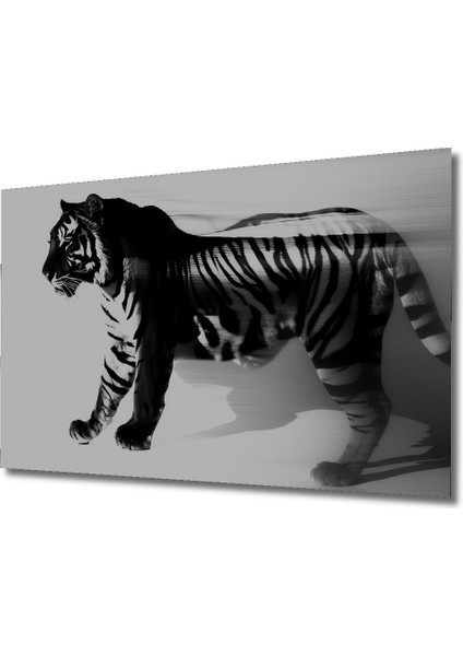 Soyut Kaplan Hızı Siyah Beyaz Dekoratif Ahşap Ev/işyeri/ofis Kare Tablo fiyatları