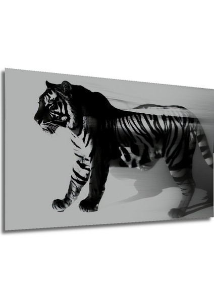 Soyut Kaplan Hızı Siyah Beyaz Dekoratif Ahşap Ev/işyeri/ofis Kare Tablo modelleri