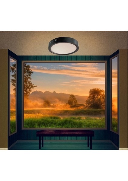 Ekim Aydınlatma Cata 30 Watt Sıva Üstü Yuvarlak Panel LED Armatür CT-5238 Alüminyum Siyah Kasa Beyaz Işık Ev Ofis Iç Mekan Için Uygundur