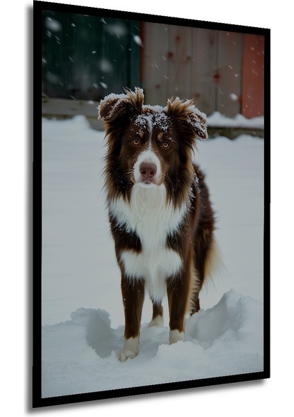 Çerçeve Görünümlü Karda Eğlenen Dost Köpek Yağlı Boya Görünümlü Dekoratif Ahşap Ofis Kare Tablo modelleri