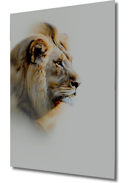 Beyaz Aslanın Yağlı Boya Görünümlü Portresi Ev/işyeri/ofis/salon Ahşap Dekoratif Kare Tablo fiyatları