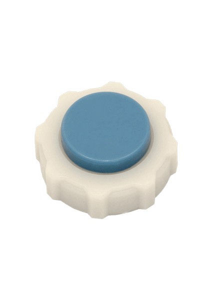 R11 R19 R21 Flash Megane Radyatör Kapak Mavi