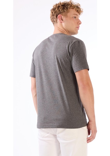 Antrasit Melanj Erkek Regular Fit O Yaka Tshirt