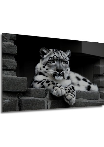 Kar Leoparı Siyah Beyaz Yağlı Boya Görünümlü Dekoratif Ahşap Ev/işyeri/ofis Kare Tablo modelleri