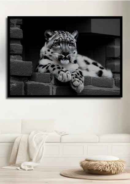 Çerçeve Görünümlü Kar Leoparı Siyah Beyaz Yağlı Boya Görünümlü Dekoratif Ahşap Ofis Kare Tablo