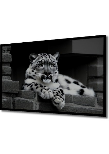 Çerçeve Görünümlü Kar Leoparı Siyah Beyaz Yağlı Boya Görünümlü Dekoratif Ahşap Ofis Kare Tablo fiyatları