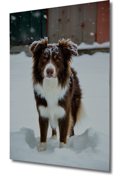 Karda Eğlenen Dost Köpek Yağlı Boya Görünümlü Dekoratif Ahşap Ev/işyeri/ofis Kare Tablo fiyatları