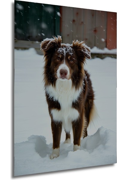 Karda Eğlenen Dost Köpek Yağlı Boya Görünümlü Dekoratif Ahşap Ev/işyeri/ofis Kare Tablo modelleri