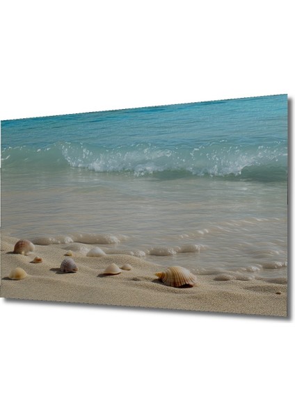 Deniz Kabukları ve Turkuaz Deniz Sulu Boya Görünümlü Dekoratif Ahşap Ev/işyeri/ofis Kare Tablo fiyatları