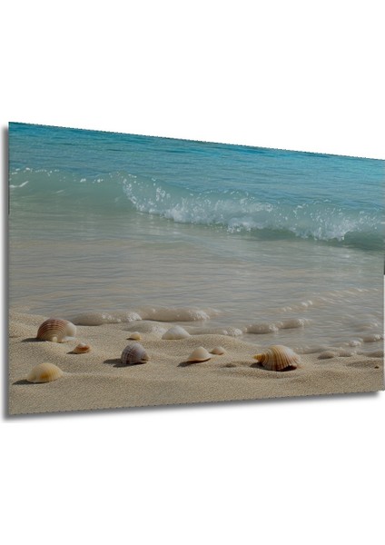 Deniz Kabukları ve Turkuaz Deniz Sulu Boya Görünümlü Dekoratif Ahşap Ev/işyeri/ofis Kare Tablo modelleri