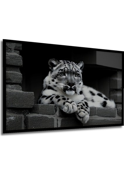 Çerçeve Görünümlü Kar Leoparı Siyah Beyaz Yağlı Boya Görünümlü Dekoratif Ahşap Ofis Kare Tablo modelleri