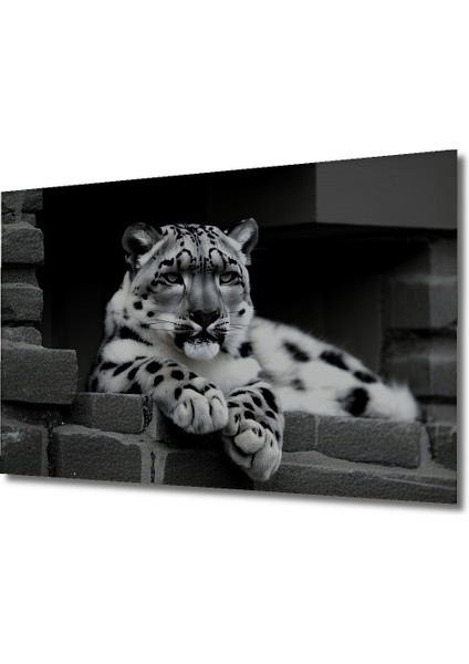 Kar Leoparı Siyah Beyaz Yağlı Boya Görünümlü Dekoratif Ahşap Ev/işyeri/ofis Kare Tablo fiyatları