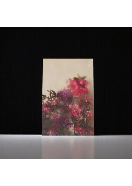 :temperli Cam Dikdörtgen Tablo, Cam Tablo, Uv Baskı, CTT015