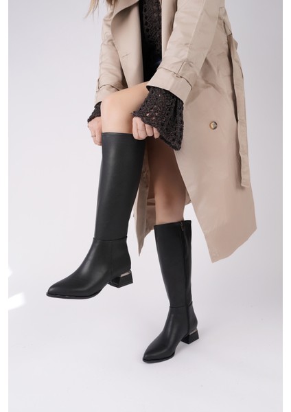 Collie Sivri Burun Yandan Fermuarlı Topuklu Kadın Çizme fırsatları