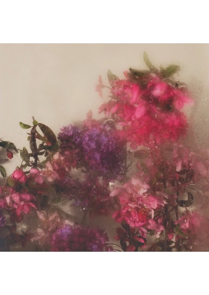 :temperli Cam Kare Tablo, Cam Tablo, Uv Baskı, CTT015