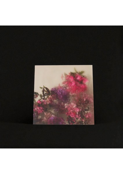 :temperli Cam Kare Tablo, Cam Tablo, Uv Baskı, CTT015