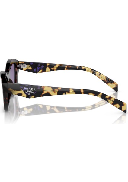 0PRA02S 17N50B 52-19