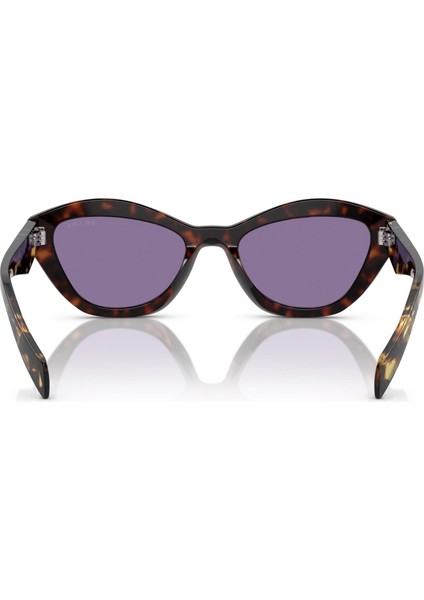 0PRA02S 17N50B 52-19