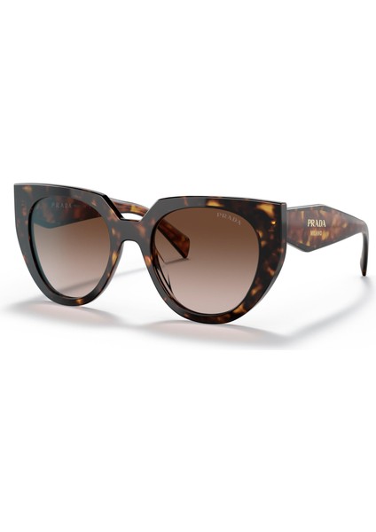 0PR14WS 2AU6S1 52-20