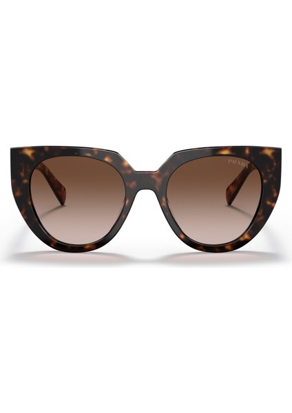 0PR14WS 2AU6S1 52-20