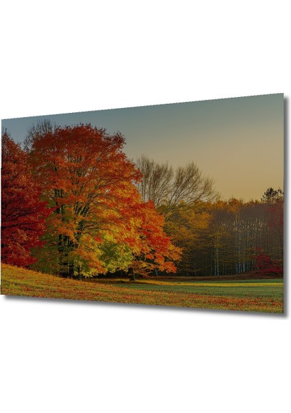 Sonbahar Yaprakları Yağlı Boya Görünümlü Dekoratif Ahşap Ev/işyeri/ofis Kare Tablo fiyatları