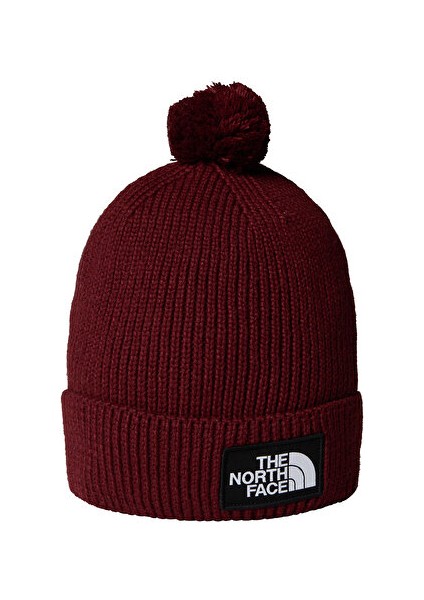 Tnf Logo Box Pom Beanie Bere NF0A8CHF0VO1 Kırmızı