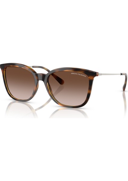Ax 4151S 821313 55 Armani Exchange Kadın Güneş Gözlüğü