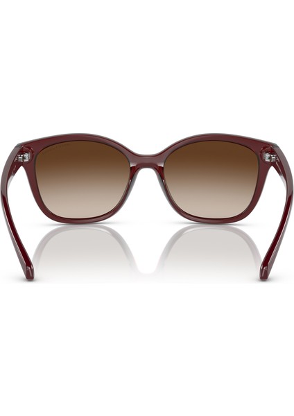 Armanı Exchange 0AX 4127S 824113 54 Kadın Güneş Gözlüğü indirimleri