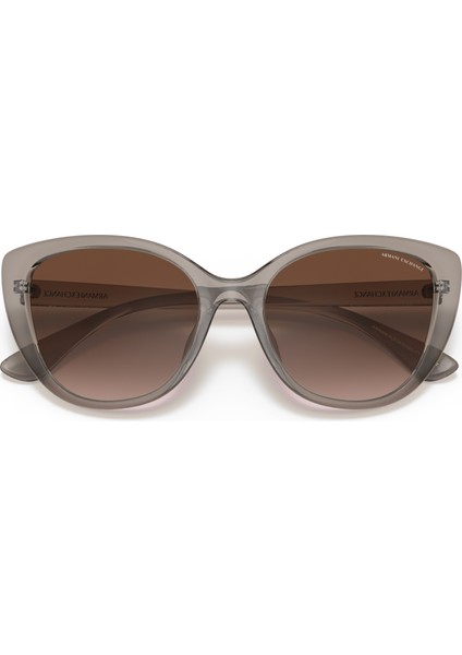 Ax-S 4111SU 824013 54 Kadın Güneş Gözlüğü