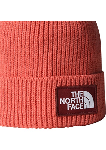 Tnf Logo Box Cuffed Beanie Bere NF0A8CHEEED1 Kırmızı fiyatları