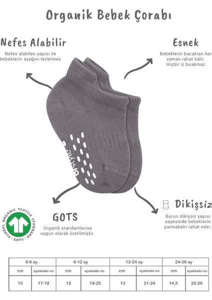 Bistyle 2'li Sneakers Kaymaz Colours Penye Çorap 20104 Gri Beyaz