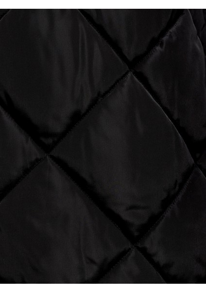 Regular Fit Erkek Mont