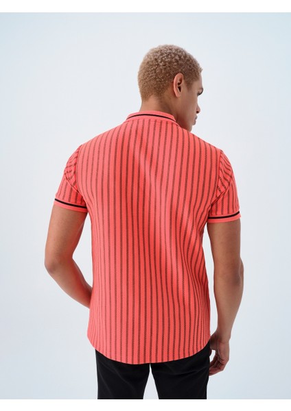 Regular Fit Erkek Polo K.kol