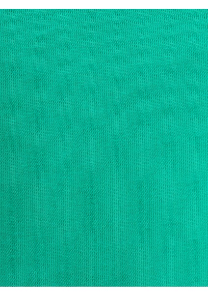 Regular Fit Erkek Tshirt K.kol