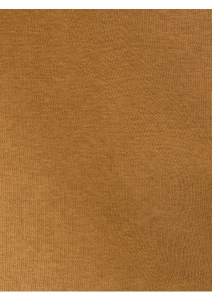 Regular Fit Erkek Sweatshirt