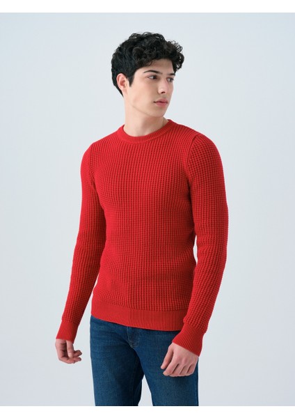 Regular Fit Erkek Kazak