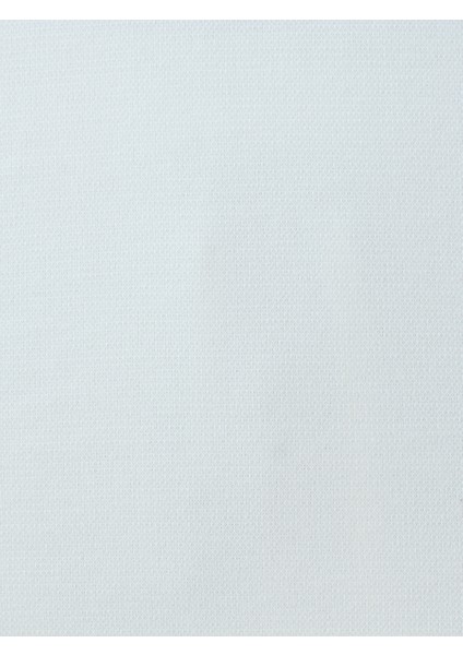 Regular Fit Erkek Tshirt K.kol