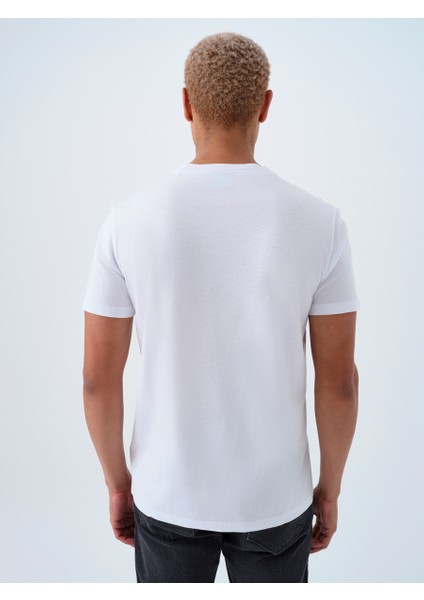 Regular Fit Erkek Tshirt K.kol