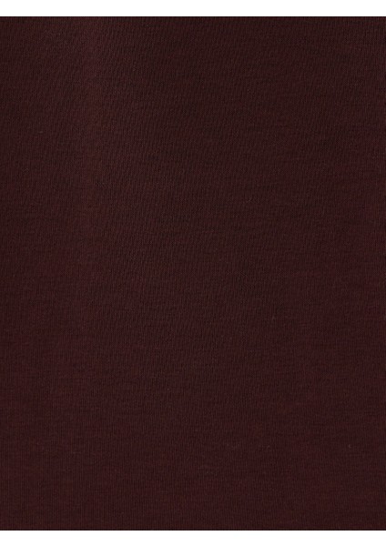 Regular Fit Erkek Sweatshirt
