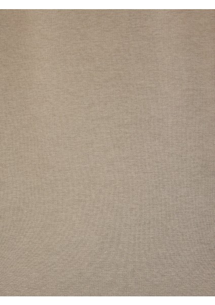 Regular Fit Erkek Sweatshirt