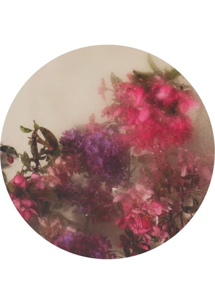 :temperli Cam Daire Tablo, Cam Tablo, Uv Baskı, CTT015