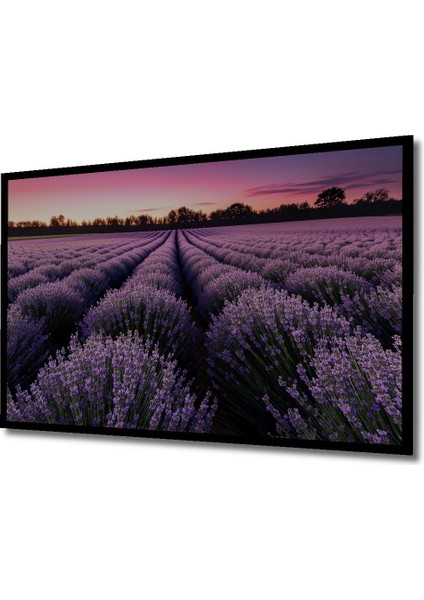 Çerçeve Görünümlü Mor Lavanta Tarlası Yağlı Boya Görünümlü Dekoratif Ahşap Işyeri/ofis Kare Tablo fiyatları