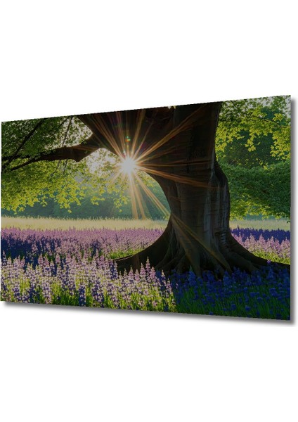 Güneş Işığında Mor Zambaklar Yağlı Boya Görünümlü Dekoratif Ahşap Ev/işyeri/ofis Kare Tablo fiyatları