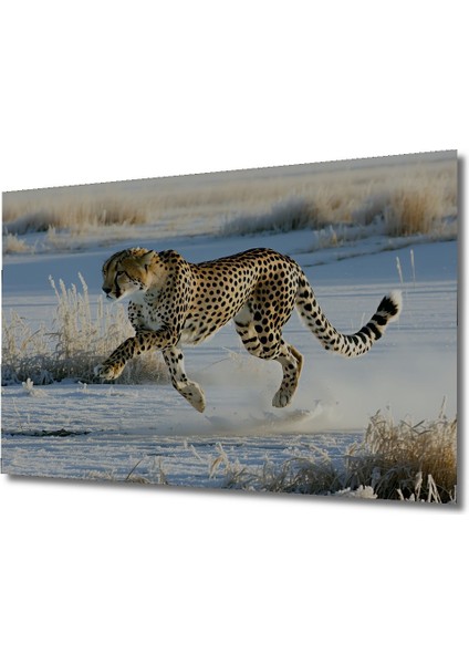 Kar Leoparı Hızlı Koşu Yağlı Boya Görünümlü Dekoratif Ahşap Ev/işyeri/ofis Kare Tablo fiyatları