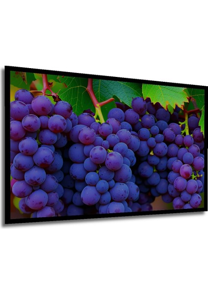 Çerçeve Görünümlü Mor Üzüm Yağlı Boya Görünümlü Dekoratif Ahşap Ev/işyeri/ofis Kare Tablo modelleri